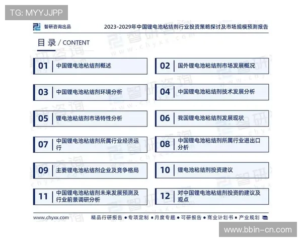 东升国际周边发展潜力与商业投资价值深度分析报告