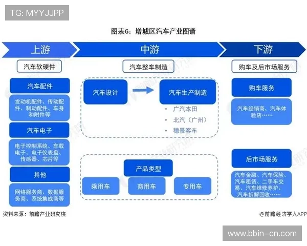 C体育全景解析：聚焦赛事热点与运动员成长之路